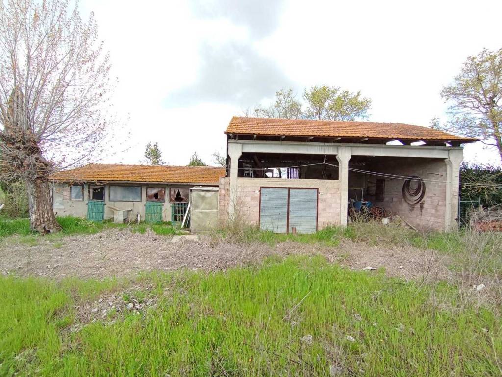 Rustico / casale a Cortona - Foto 5