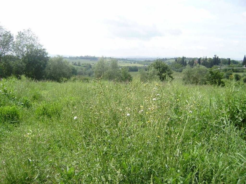Appartamento a Cortona - Foto 2