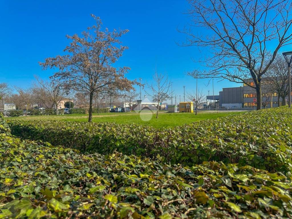 Appartamento a Parma in Piazza Mozzoni, 15 - Foto 3