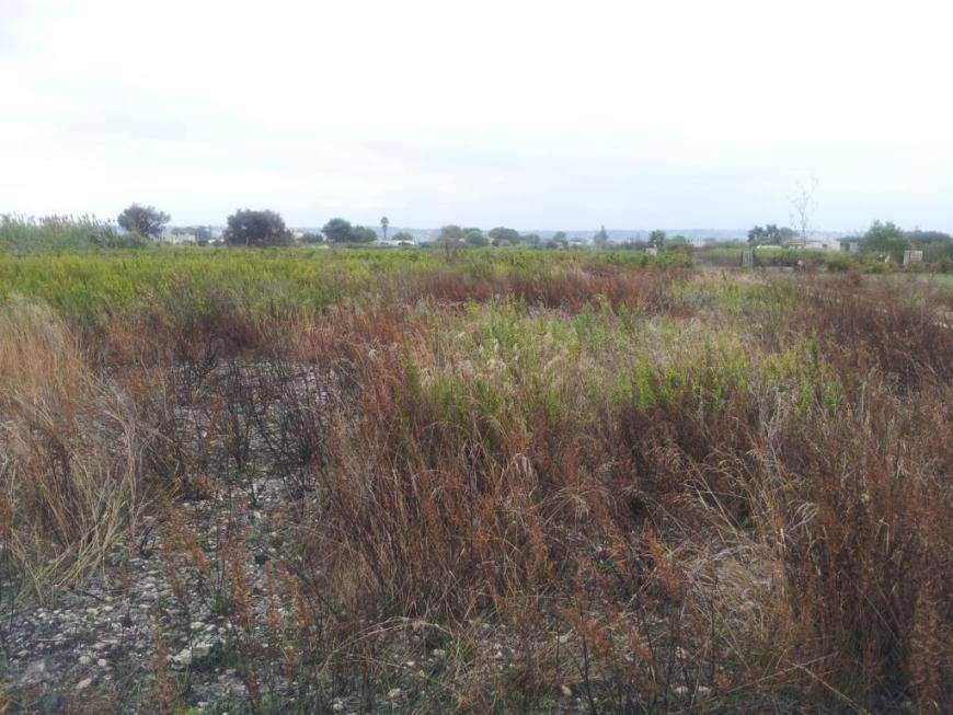 Terreno a Marsala in Contrada Spagnola - Foto 2
