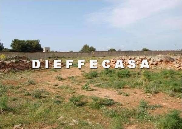 Terreno a Marsala in C.da S. Silvestro - Foto 2