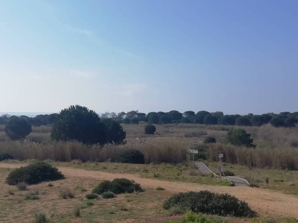 Rustico / casale a Castelvetrano in Contrada Belice Mare - Foto 2