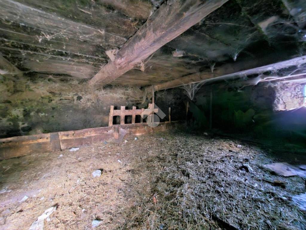 Rustico / casale a Antey-saint-andrè in Loc. liex - Foto 3