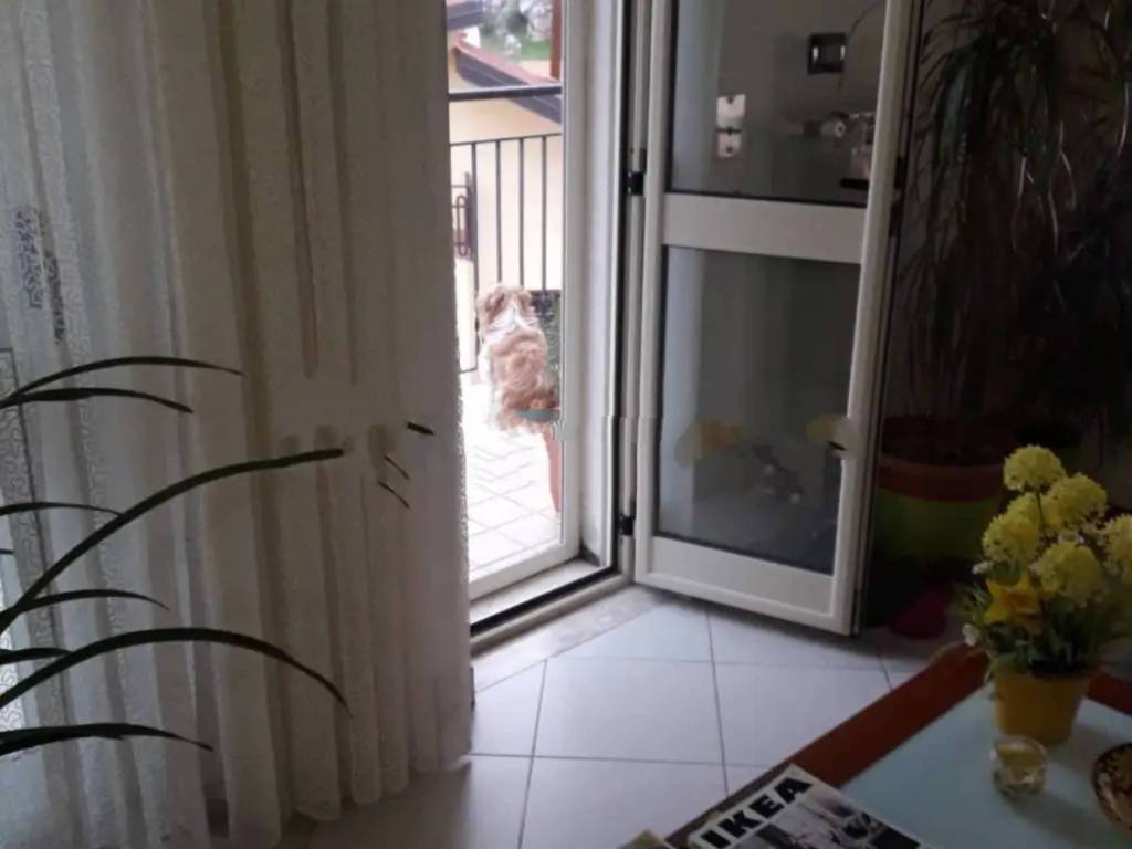 Attico / mansarda a Marsicovetere in Via Guglielmo Marconi - Foto 3