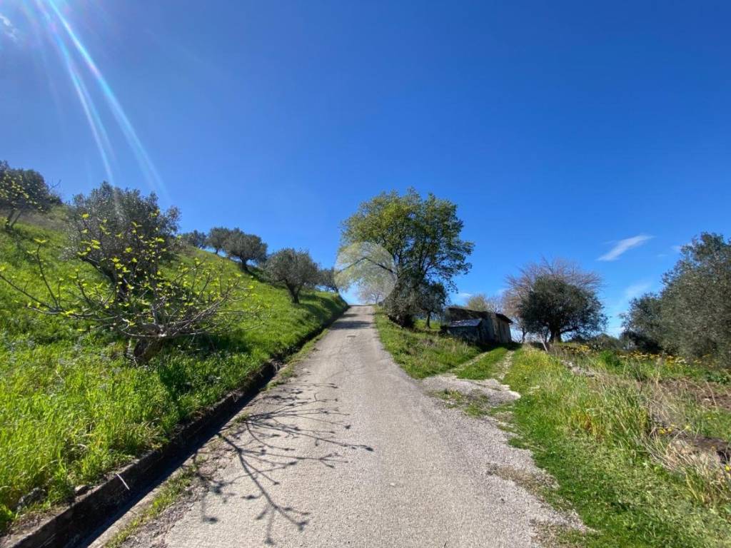Terreno a Giungano in Via Macchie, 1 - Foto 3