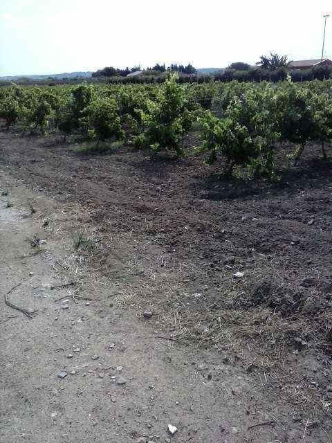 Terreno a Marsala in C.da Giunchi - Foto 2