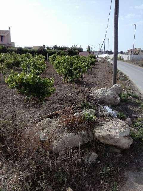Terreno a Marsala in C.da Giunchi - Foto 4