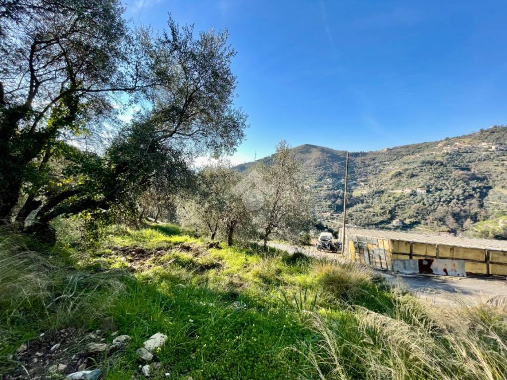 Terreno a Sanremo in Via Duca degli Abruzzi - Foto 5