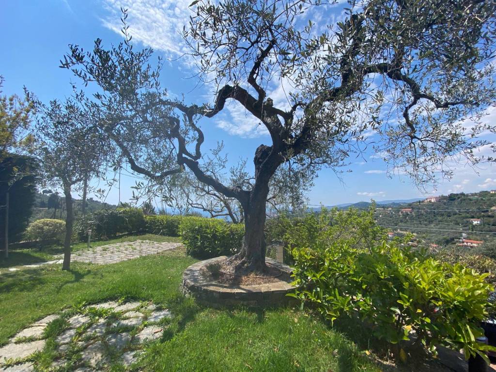 Villa a Imperia - Foto 2