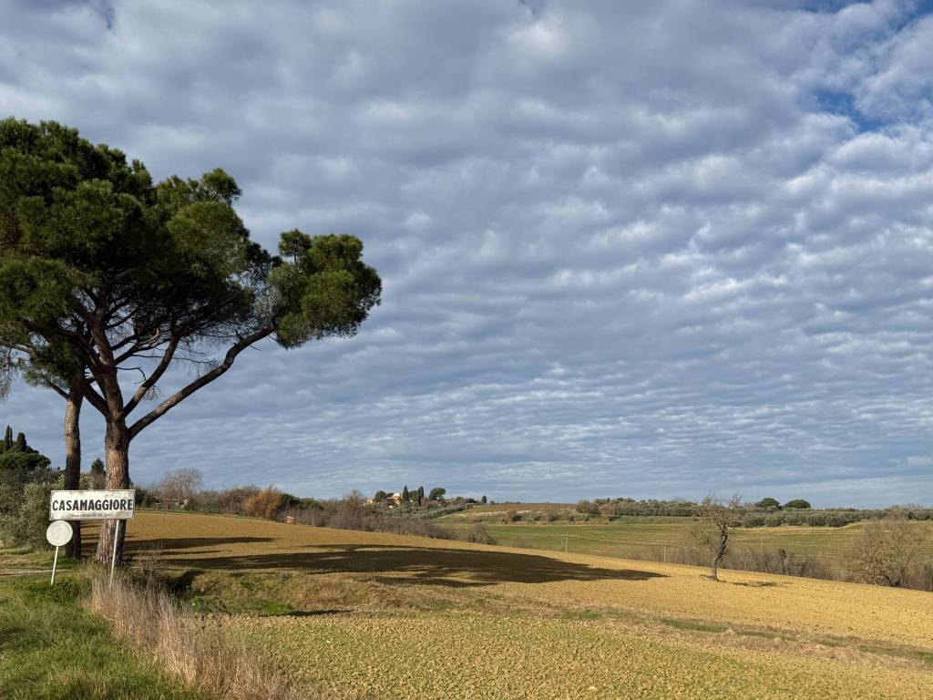 Terreno a Castiglione del lago in Via Castiglionese, 8 - Foto 3