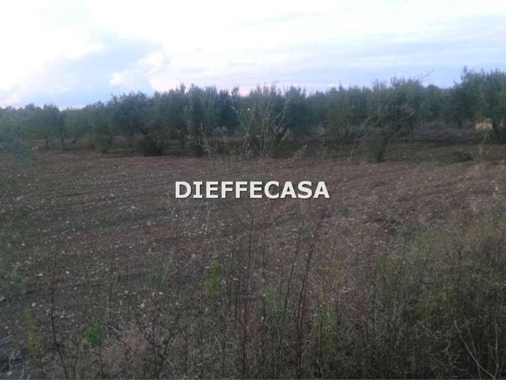 Terreno a Marsala in Contrada Casazze - Foto 2