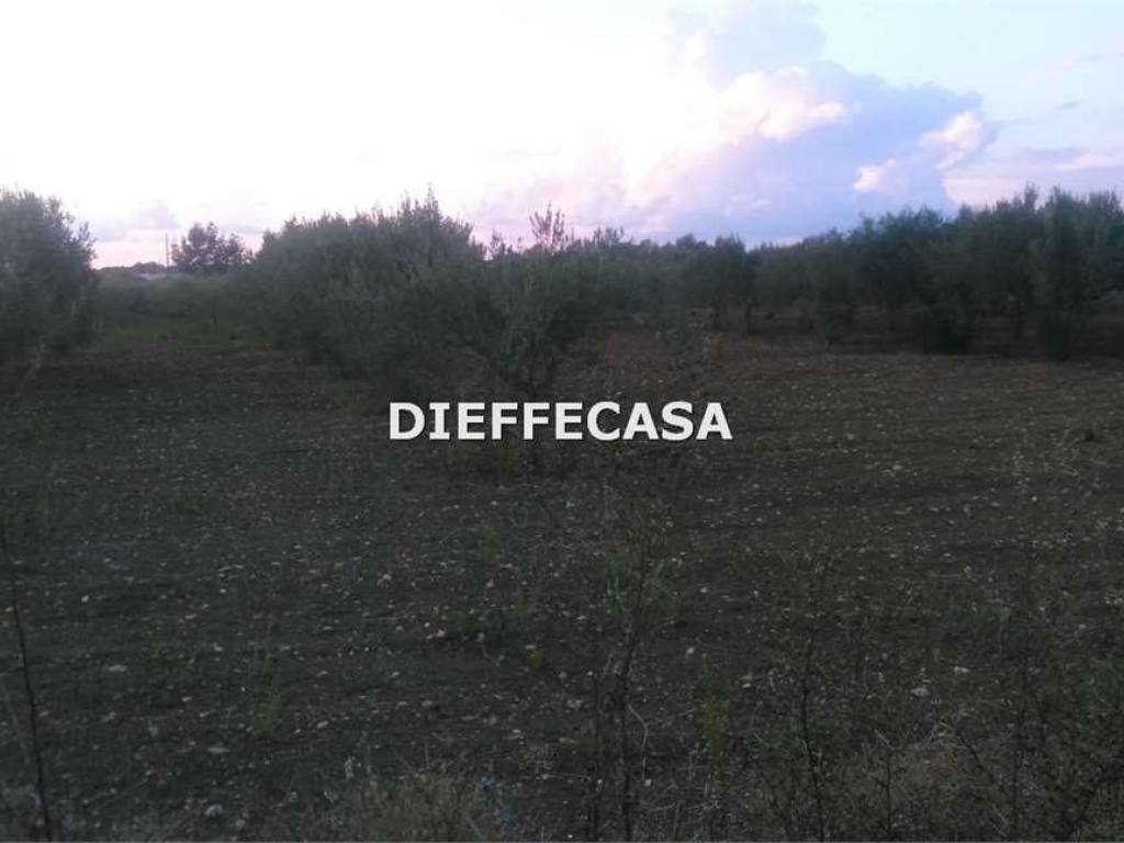 Terreno a Marsala in Contrada Casazze - Foto 3
