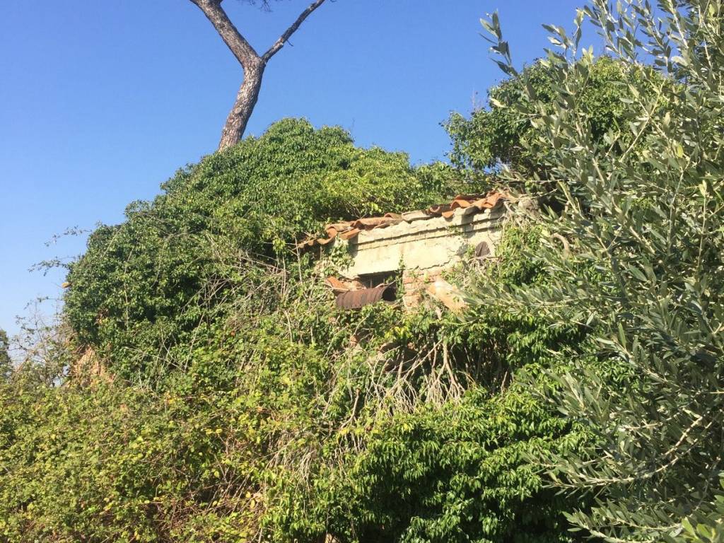 Rustico / casale a Mondolfo - Foto 2