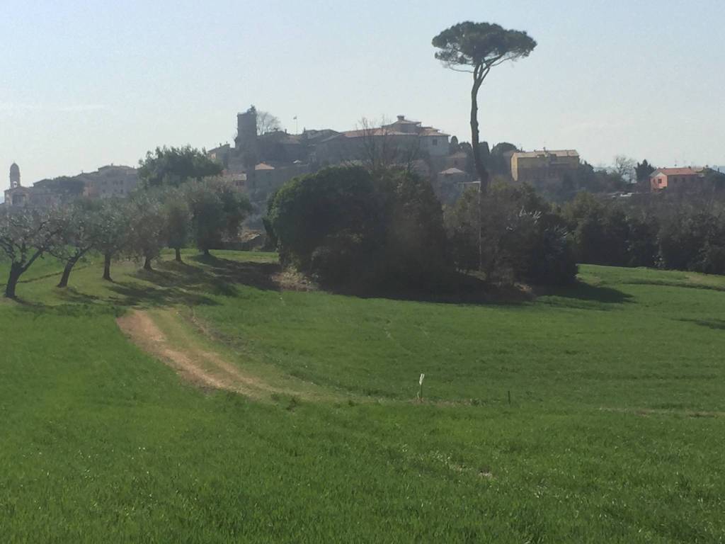 Rustico / casale a Mondolfo - Foto 3