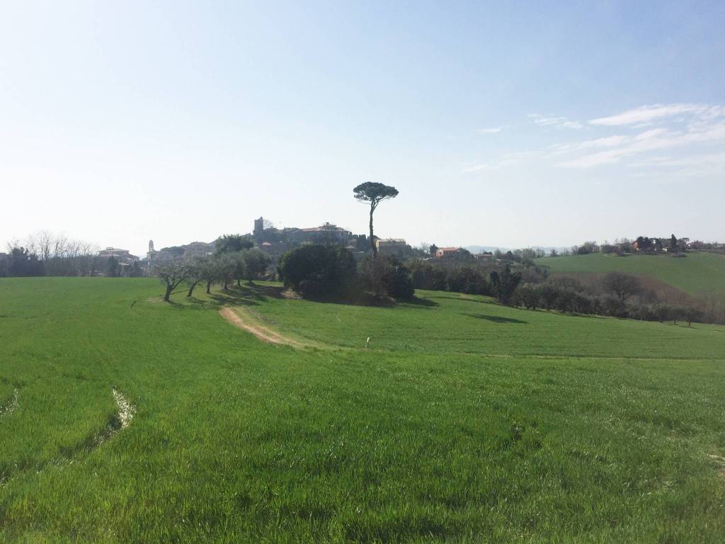 Rustico / casale a Mondolfo - Foto 4