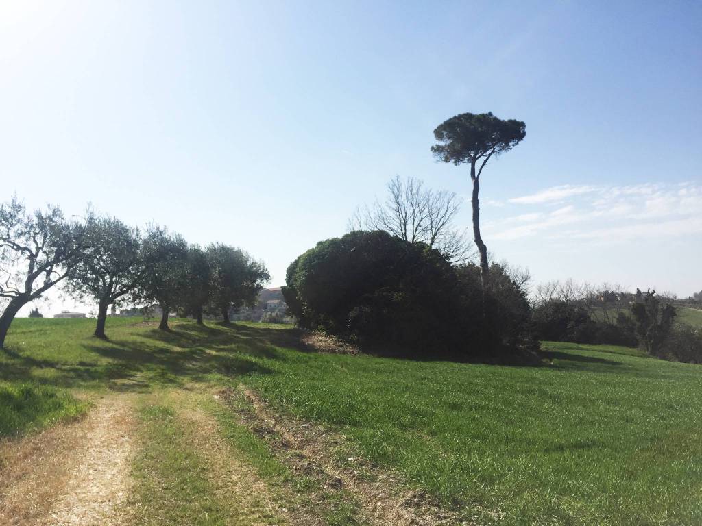 Rustico / casale a Mondolfo - Foto 5