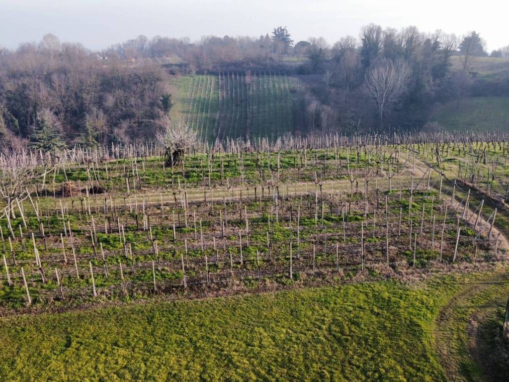Terreno a San colombano al lambro in Via Serafina - Foto 1