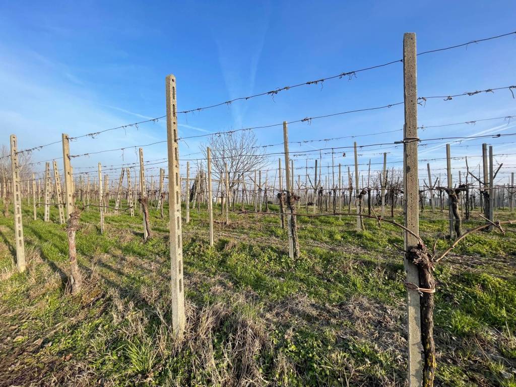 Terreno a San colombano al lambro in Via Serafina - Foto 2