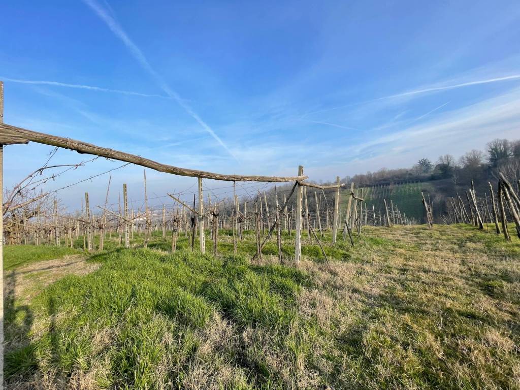 Terreno a San colombano al lambro in Via Serafina - Foto 5