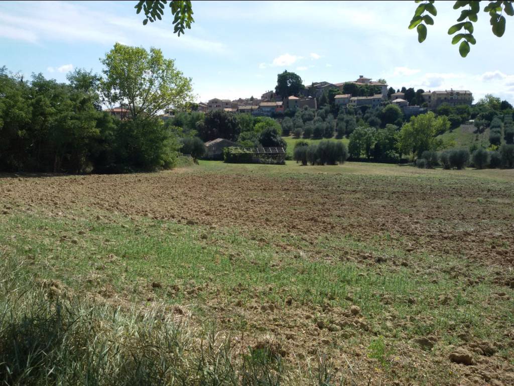 Terreno a Mondolfo - Foto 3