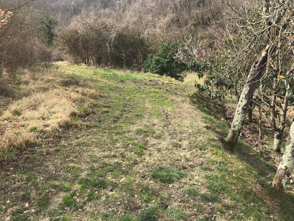 Rustico / casale a Arezzo in Località San Firenze - Foto 3