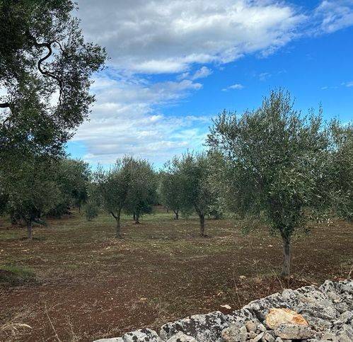 Terreno a Ostuni in Strada Statale di Egnazia - Foto 5