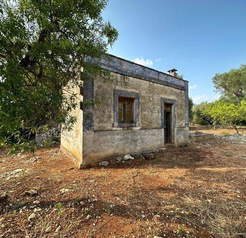 Rustico / casale a Ostuni in SP22 - Foto 5