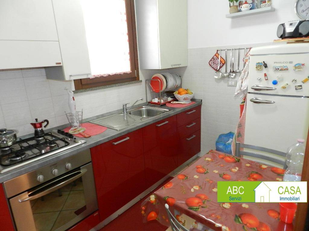 Appartamento a Rosignano marittimo - Foto 3