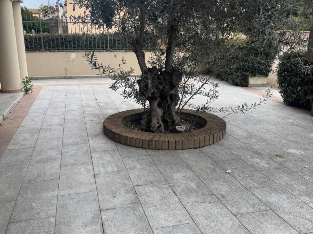 Immobile a Olbia in Corso Vittorio Veneto - Foto 3
