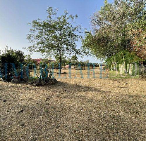 Terreno a Orbetello in Strada Provinciale Della Giannella - Foto 2