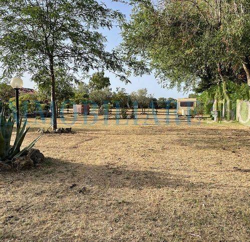 Terreno a Orbetello in Strada Provinciale Della Giannella - Foto 3