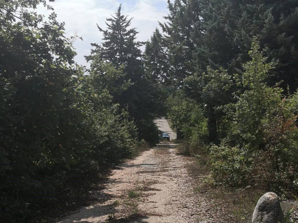 Rustico / casale a Bagnoli del trigno in località Orsoni snc - Foto 2