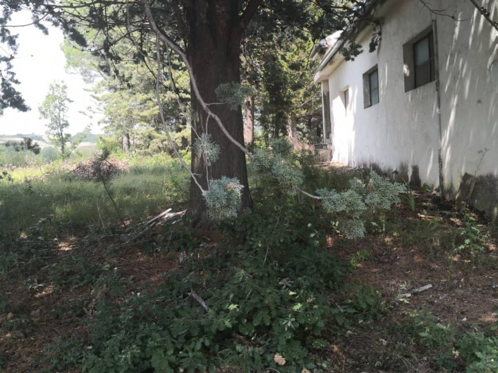 Rustico / casale a Bagnoli del trigno in località Orsoni snc - Foto 3