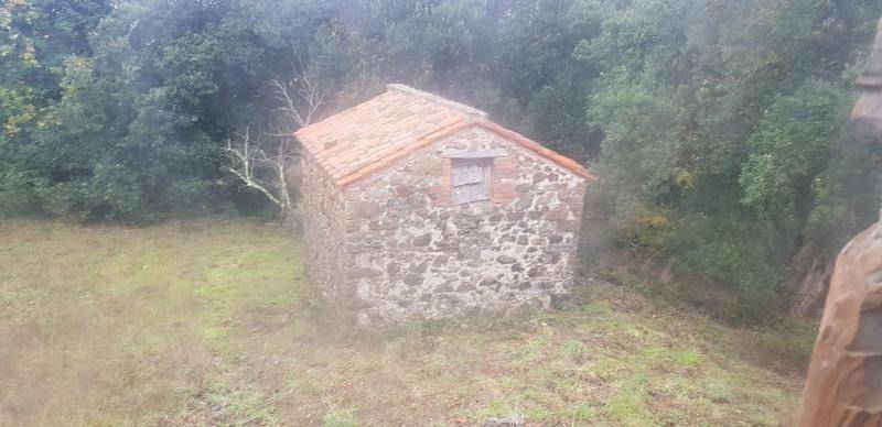 Rustico / casale a Massa marittima in Via Toscana, 8 - Foto 5