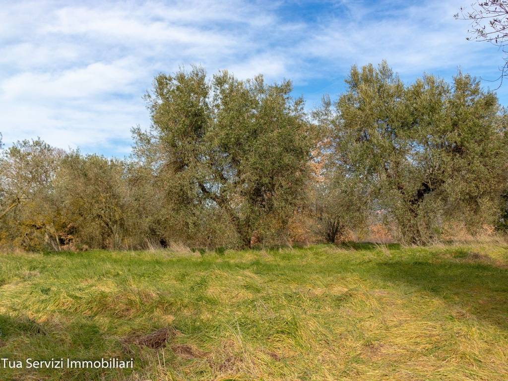 Rustico / casale a Amelia in Strada di Siano - Foto 5