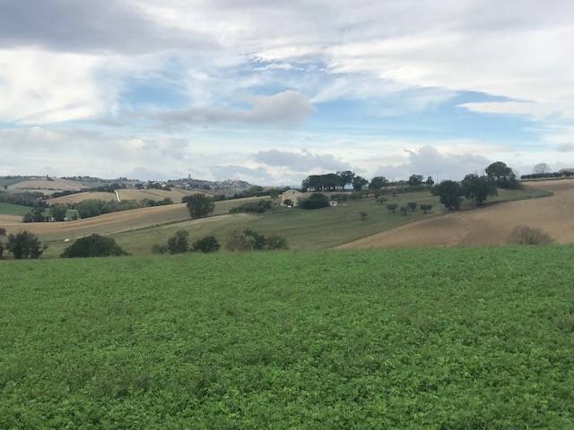 Rustico / casale a Recanati in Strada Comunale Regnano Bagnolo - Foto 3