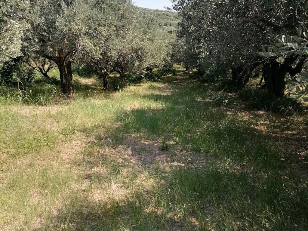 Terreno a Colognola ai colli in Via Grotta - Foto 3
