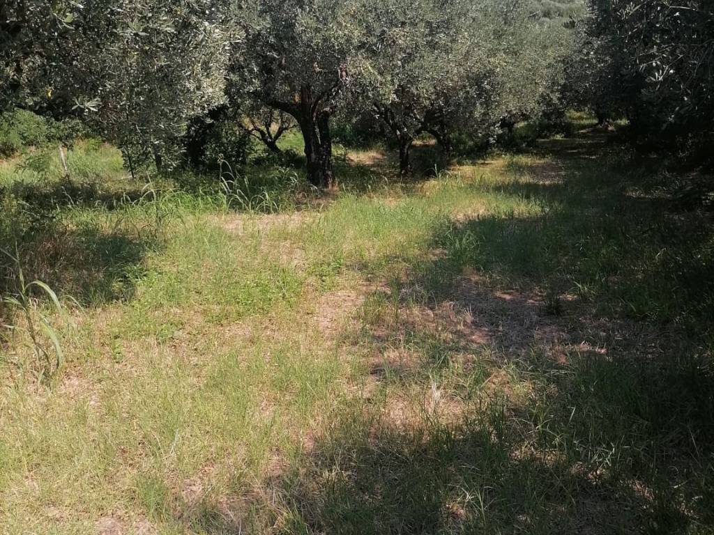 Terreno a Colognola ai colli in Via Grotta - Foto 4