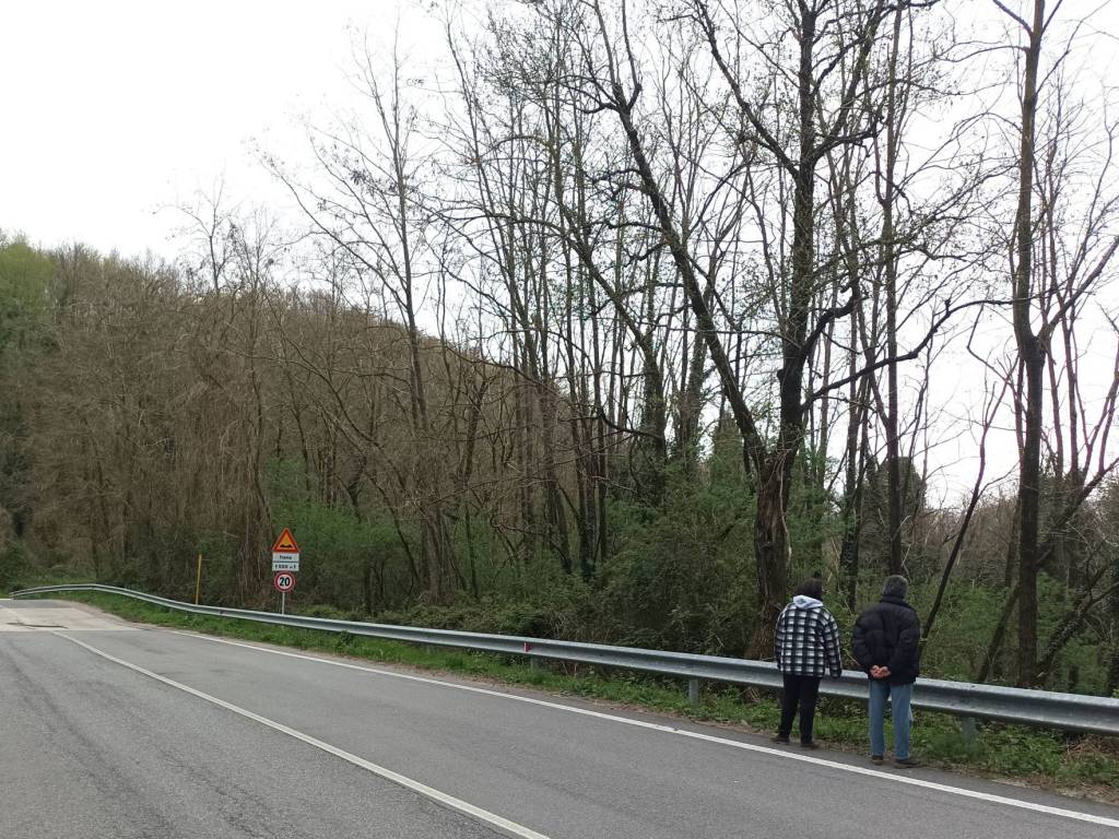 Terreno a Lauria in Contrada Rosa di Sopra - Foto 4