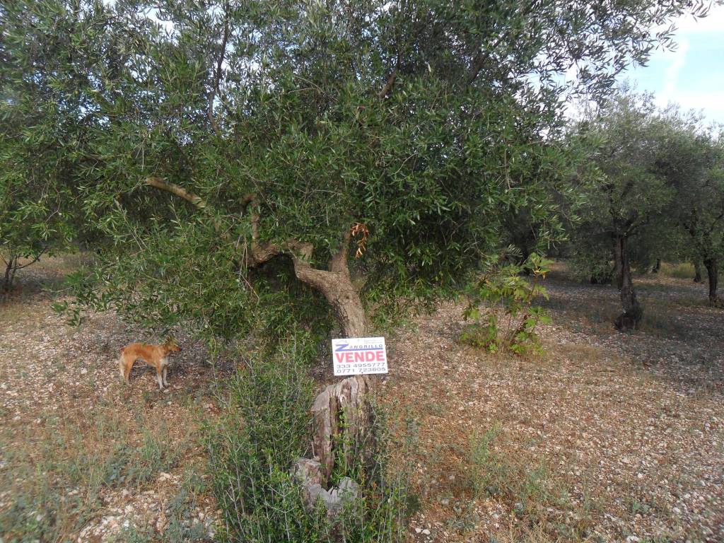 Terreno a Formia in Via Le Starze - Foto 2