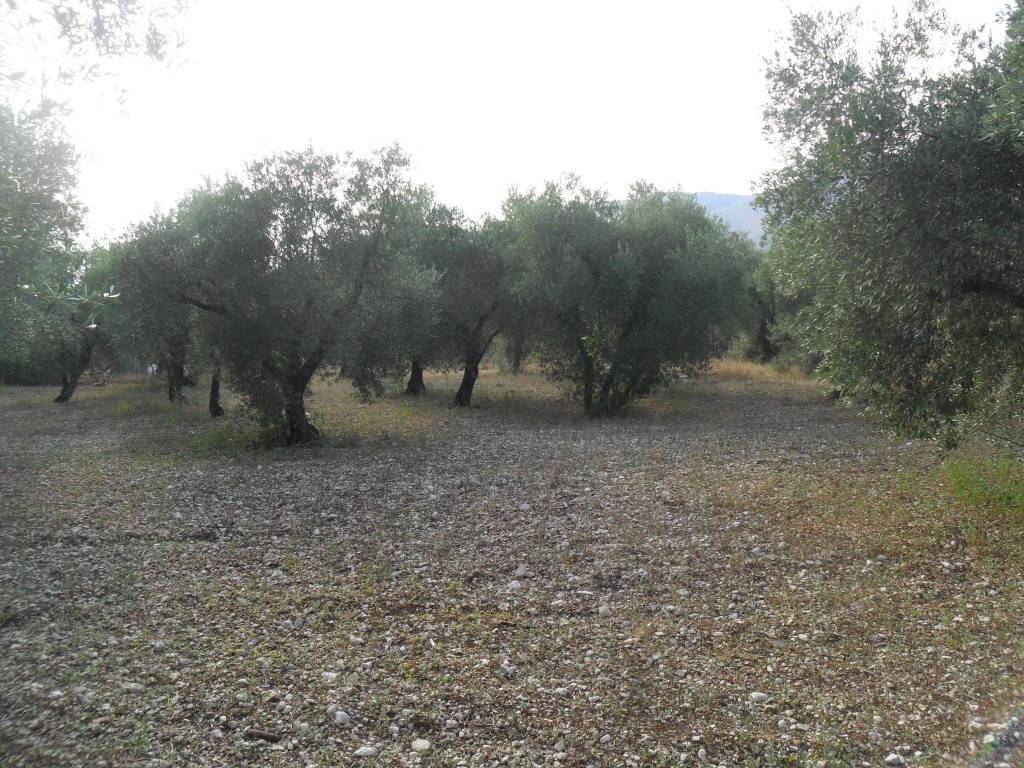 Terreno a Formia in Via Le Starze - Foto 4