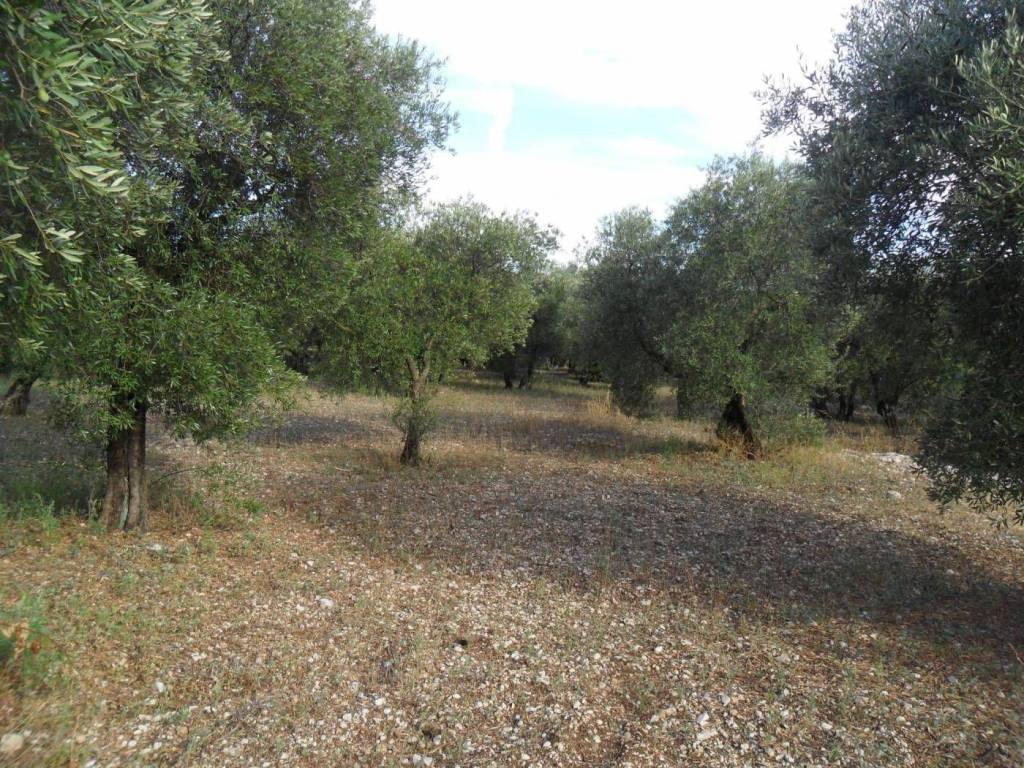 Terreno a Formia in Via Le Starze - Foto 5