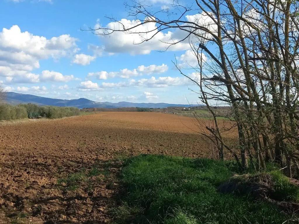Rustico / casale a Castiglion fiorentino - Foto 3