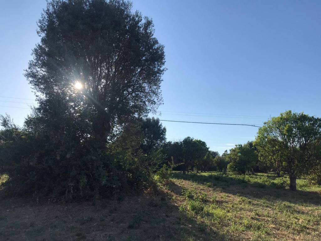 Terreno a Locri in Contrada Carbone S.N.C. - Foto 2