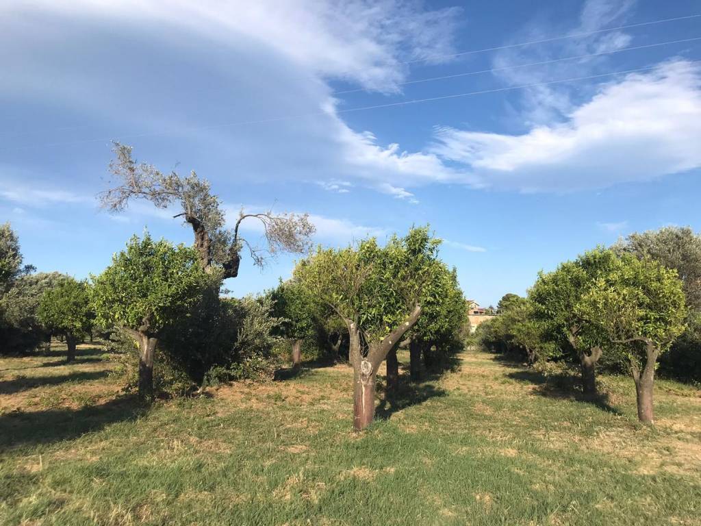 Terreno a Locri in Contrada Carbone S.N.C. - Foto 3