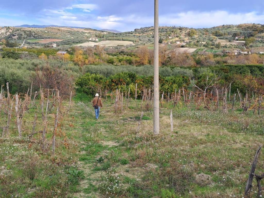 Terreno a Stilo in Località Malena S.N.C. - Foto 2