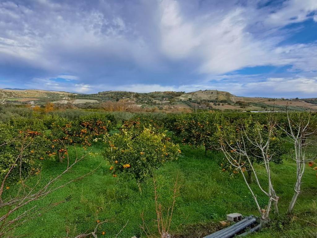 Terreno a Stilo in Località Malena S.N.C. - Foto 3