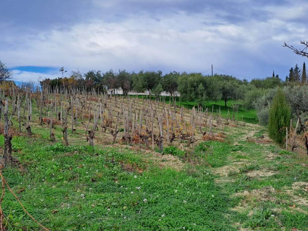 Terreno a Stilo in Località Malena S.N.C. - Foto 4
