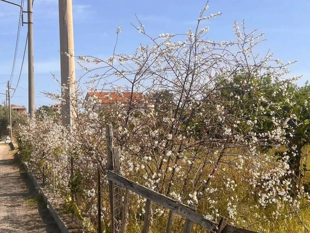 Terreno a Monasterace in Contrada Campo Marzo, 108 - Foto 3