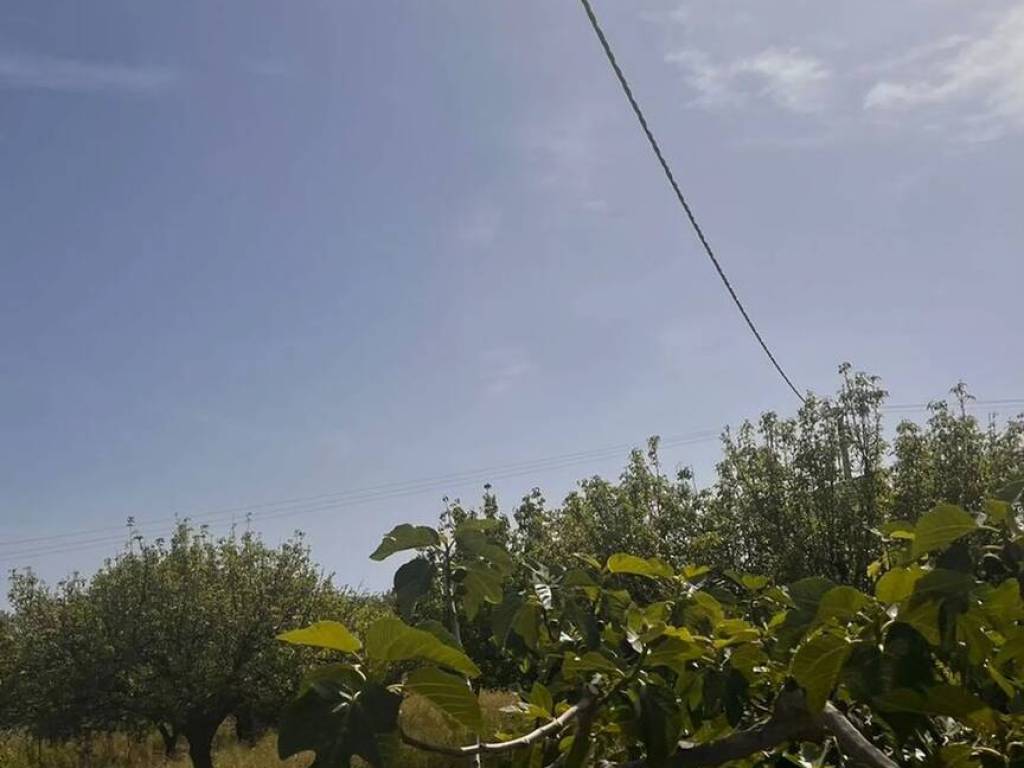Terreno a Monasterace in Contrada Campo Marzo, 108 - Foto 4